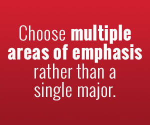 multiple areas of emphasis icon